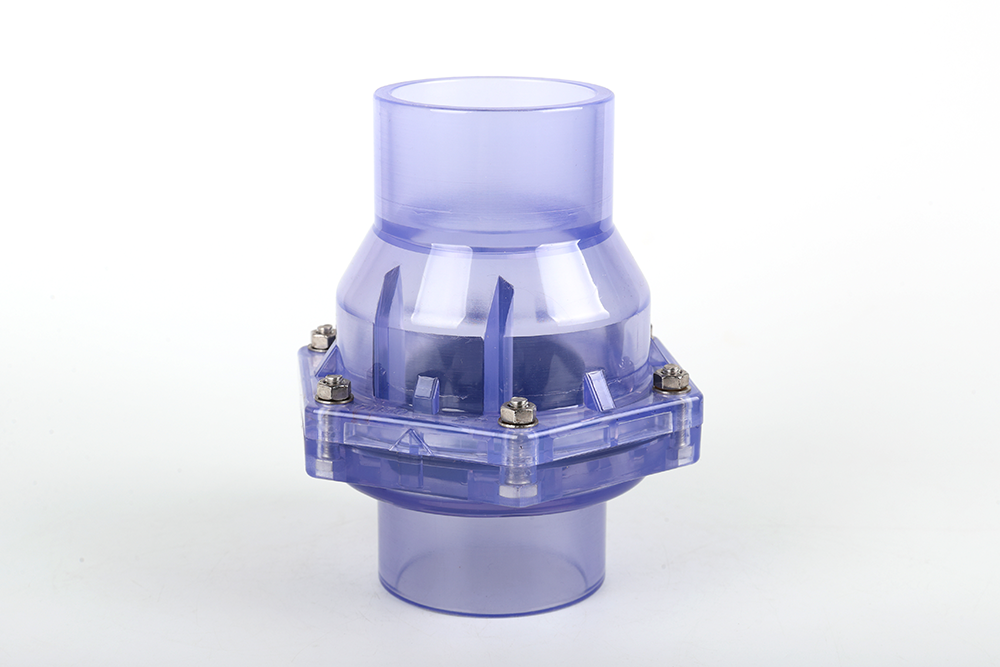 施秉透明翻板式止回阀